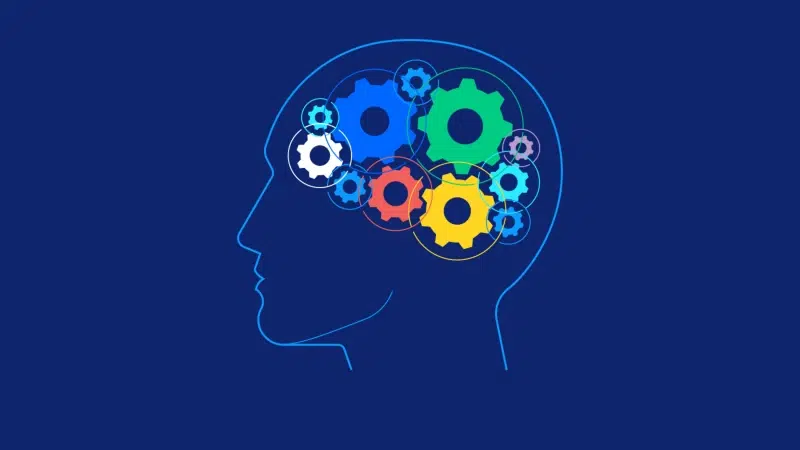 Cigar box color psychology