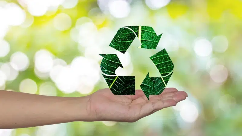 Eco-friendly alternative materials