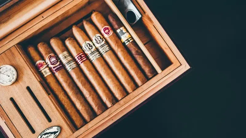 Examining cigar box craftsmanship