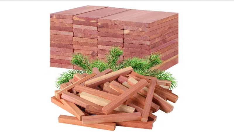 Struttura del legno di cedro spagnolo